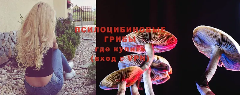 Галлюциногенные грибы MAGIC MUSHROOMS Астрахань